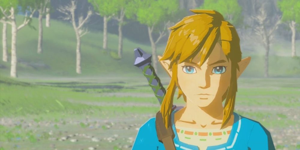 Link from Zelda Breath of the Wild